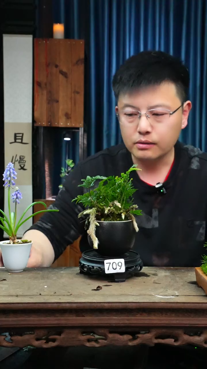 【闪购商品】苔藓微景观709号