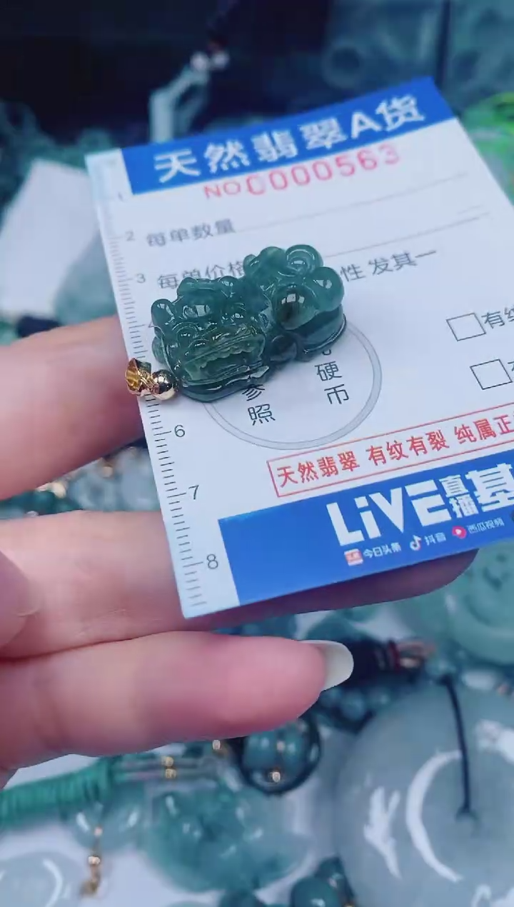 颈饰未镶嵌翡翠00000563