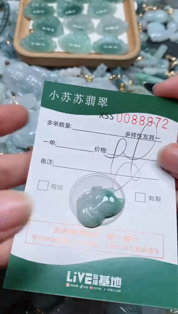 【闪购商品】翡翠颈饰未镶嵌闪购商品0088972