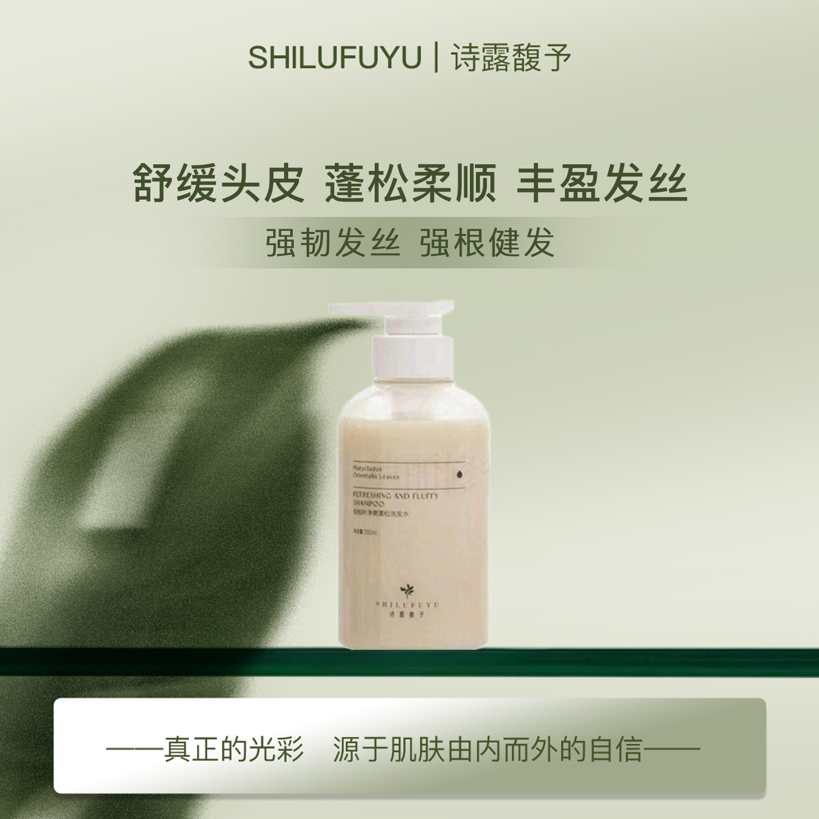 诗露馥予【姜根燕窝洗发水】无硅油17种蛋白氨基酸顺滑洗头皮养发质