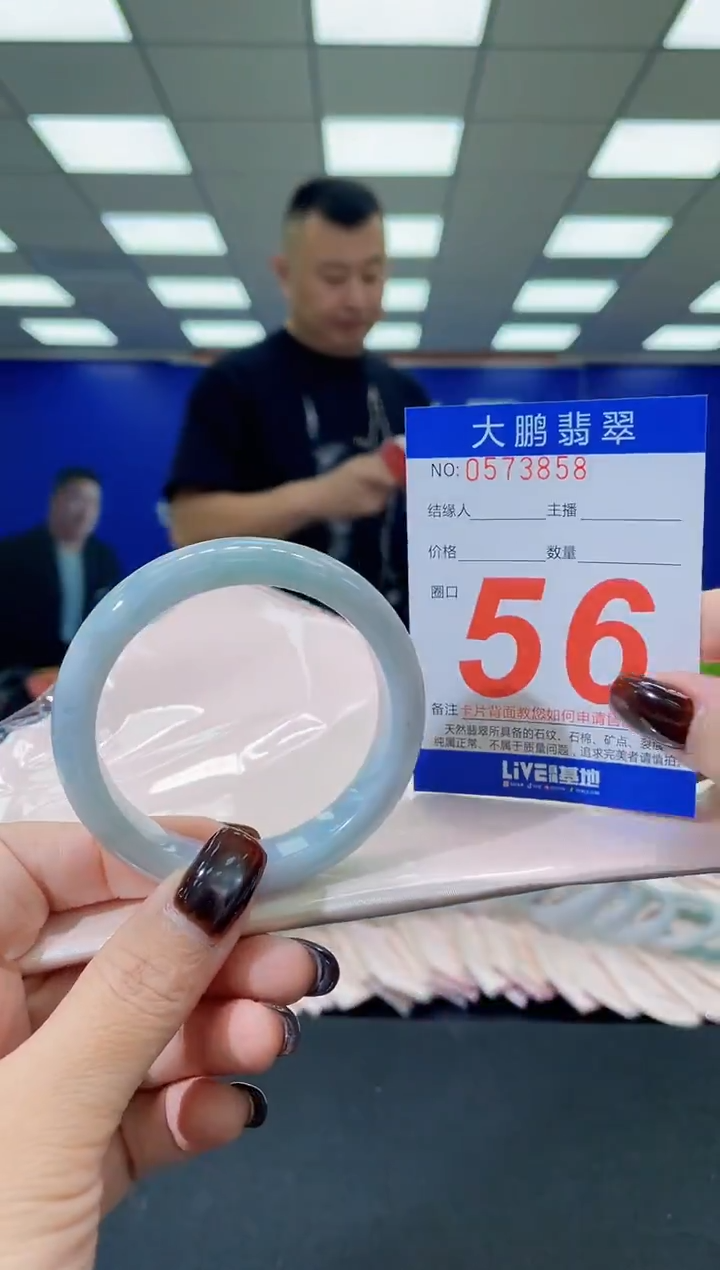 未镶嵌手镯翡翠 AAAAAAAAAA