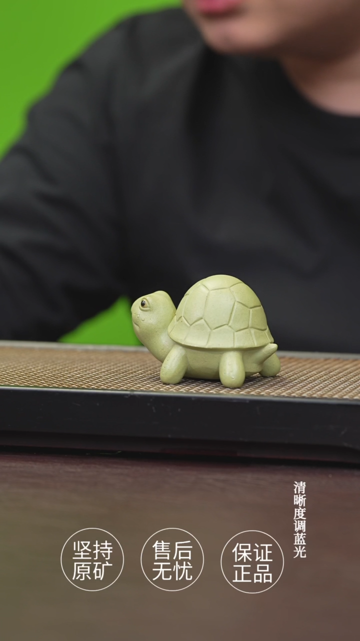 茶杯紫砂绿乌龟茶宠