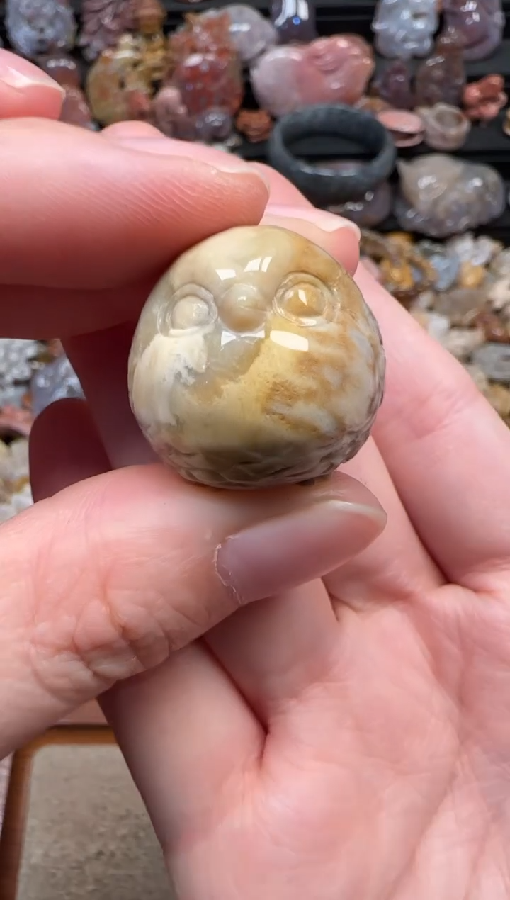 颈饰未镶嵌硅化珊瑚（珊瑚玉）096