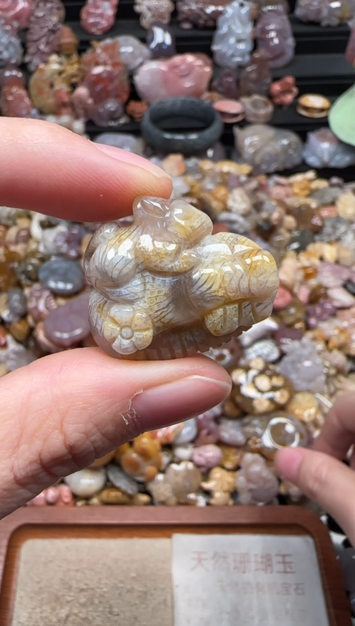 颈饰未镶嵌硅化珊瑚（珊瑚玉）231
