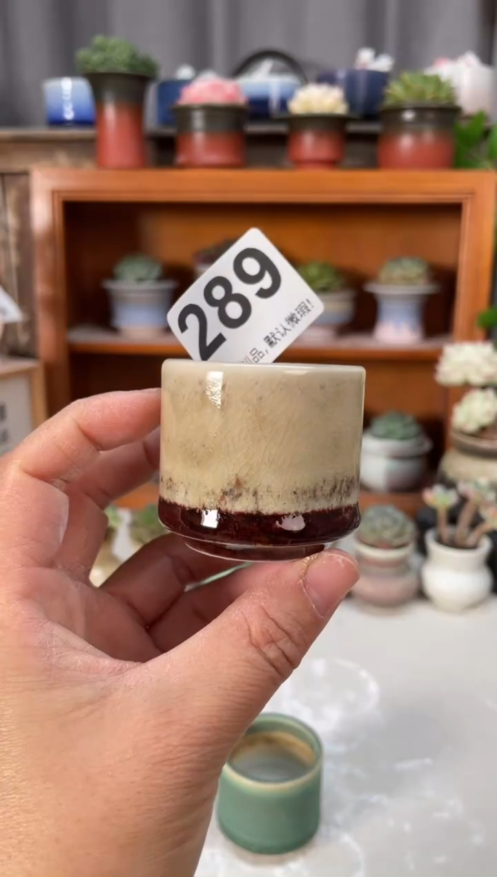 瓷片289小芳直播编号