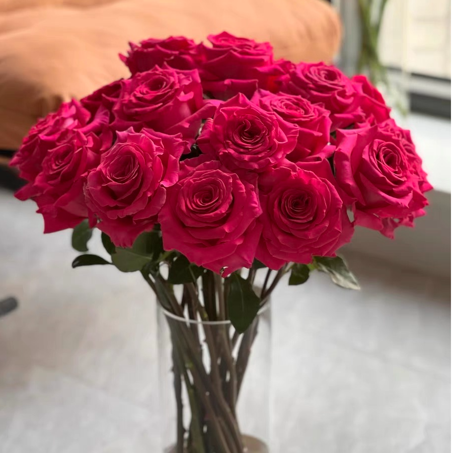 【弗洛伊德】云南鲜花生日花卉基地直发玫瑰花生活鲜花拍三单送花瓶