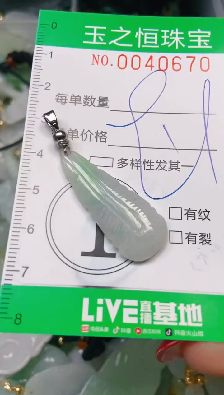 【闪购商品】翡翠颈饰未镶嵌闪购0040670