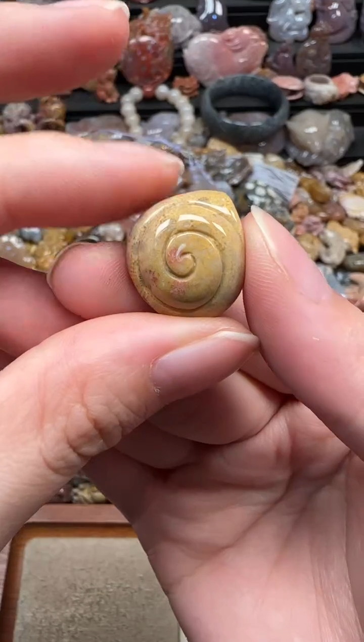 颈饰未镶嵌硅化珊瑚（珊瑚玉）071