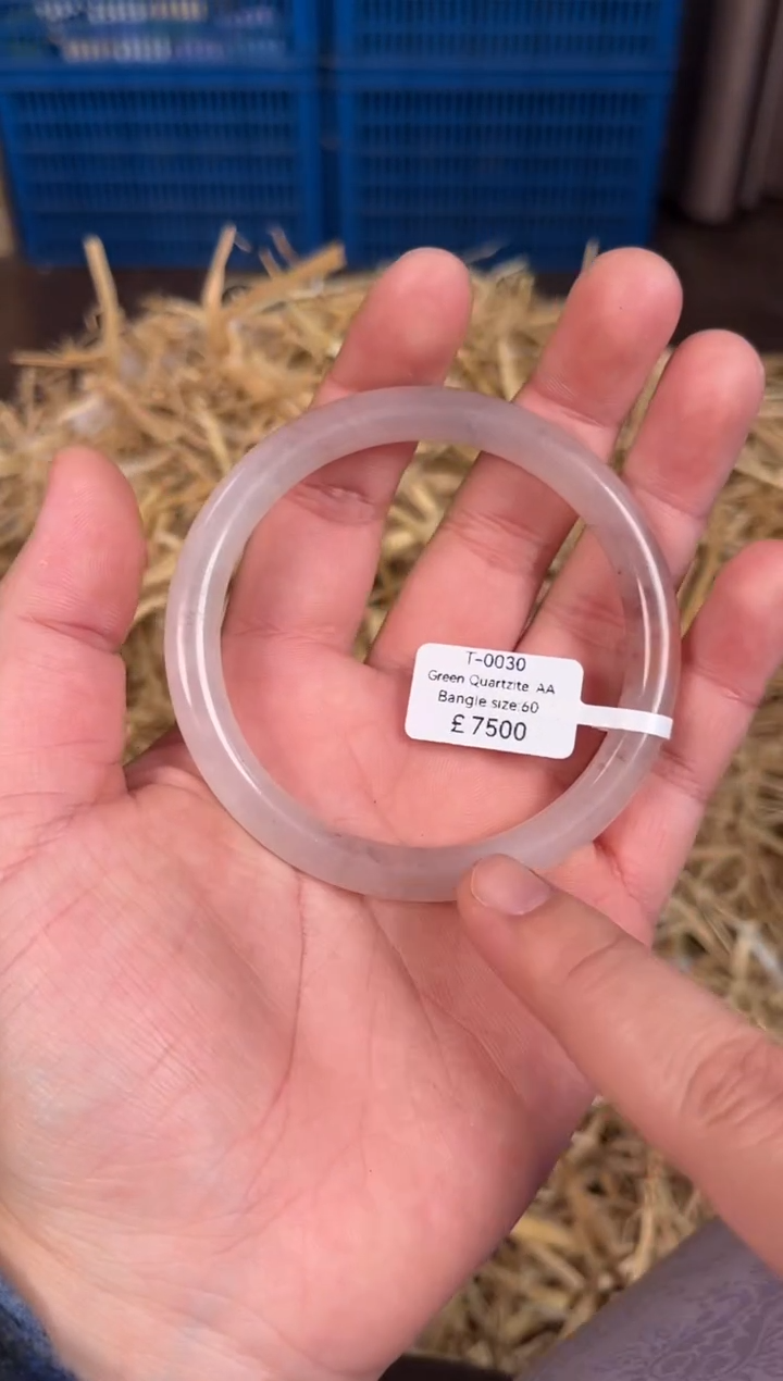 未镶嵌手镯石英质玉T0030