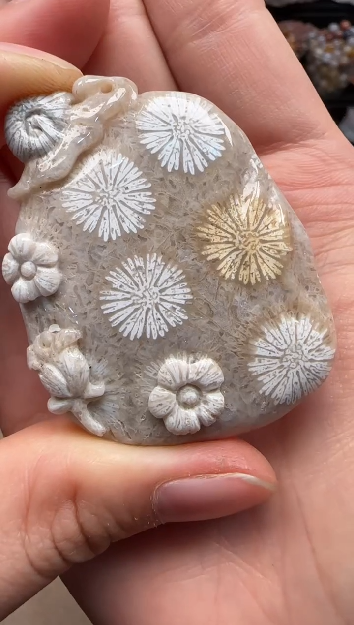 【闪购商品】硅化珊瑚（珊瑚玉）颈饰未镶嵌513