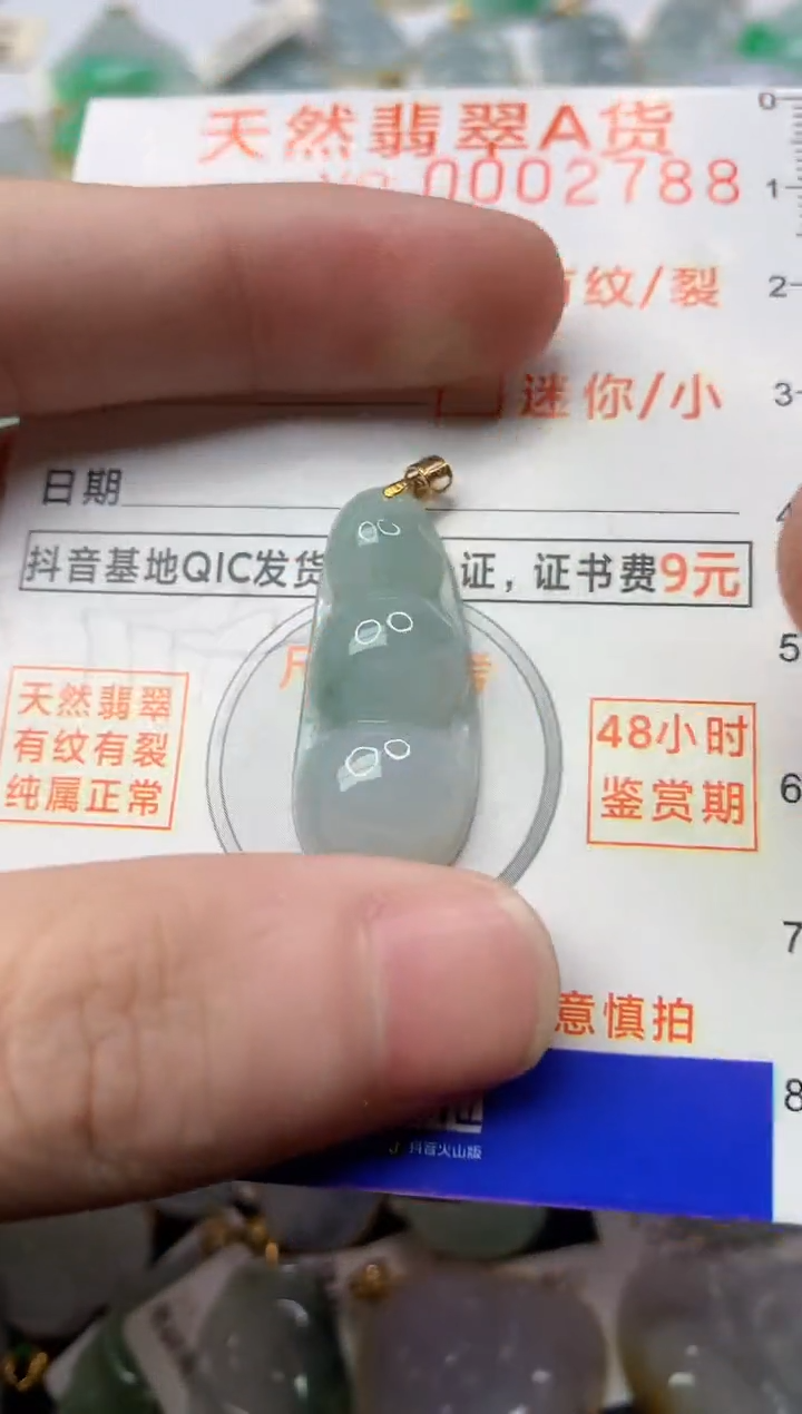 【闪购商品】翡翠颈饰18K金镶嵌2.............