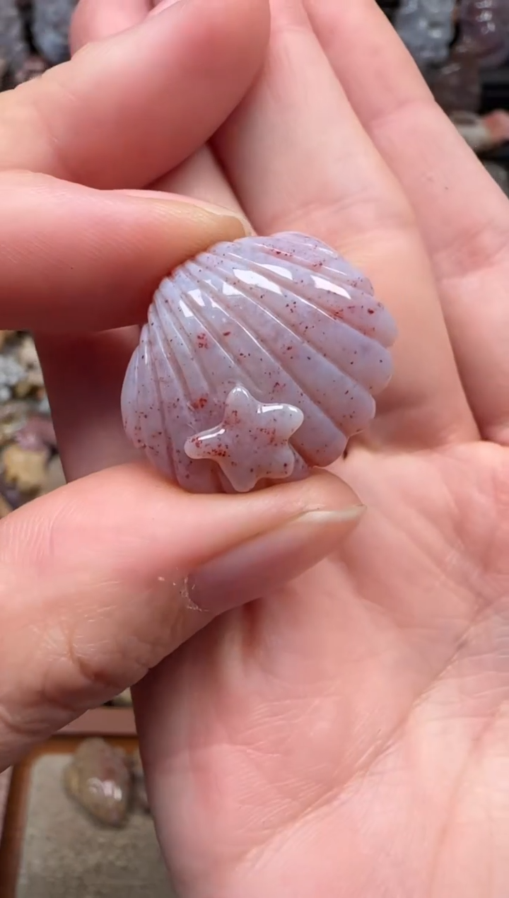 颈饰未镶嵌硅化珊瑚（珊瑚玉）669