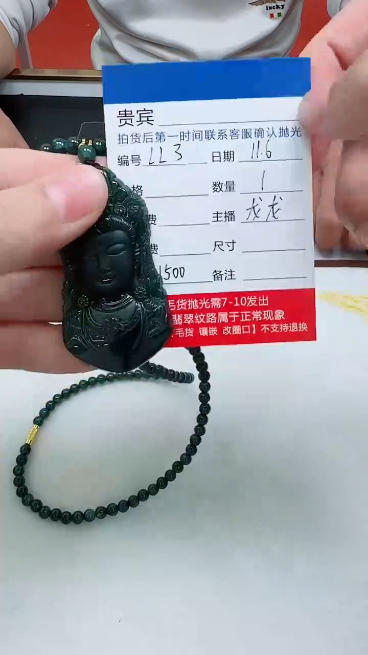 吊坠(不含链)未镶嵌翡翠LL3翡翠吊坠带珠链-多样性发其一