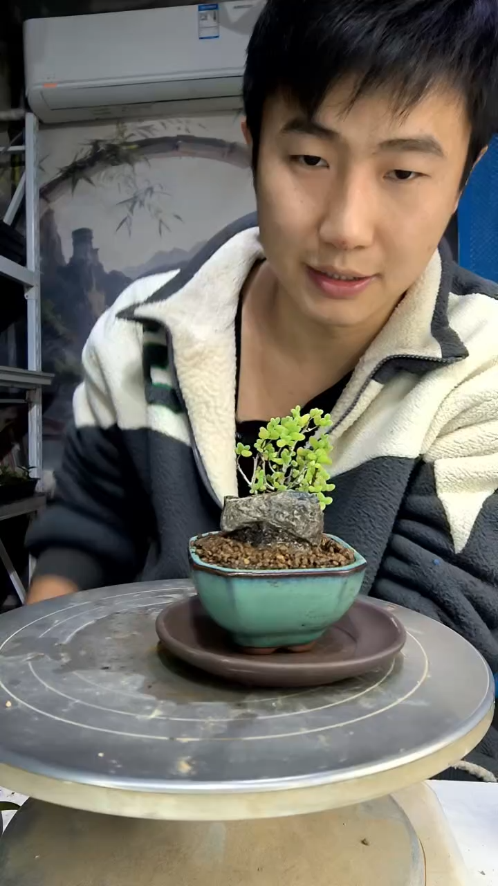 L****w中青园艺一物一拍花423