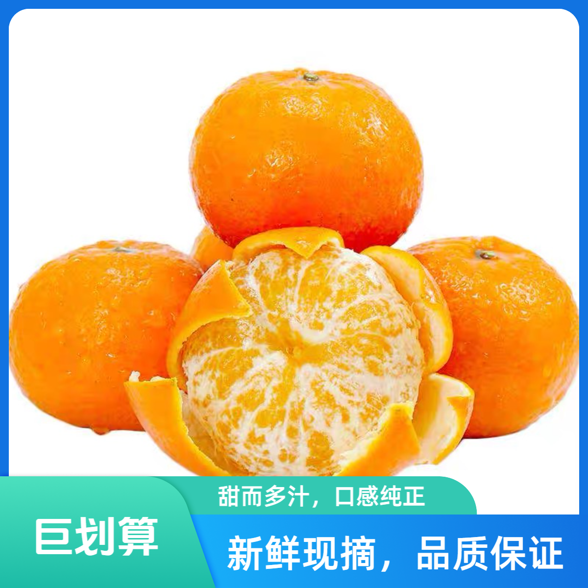 现摘蜜柑约9个1500g/份四川省