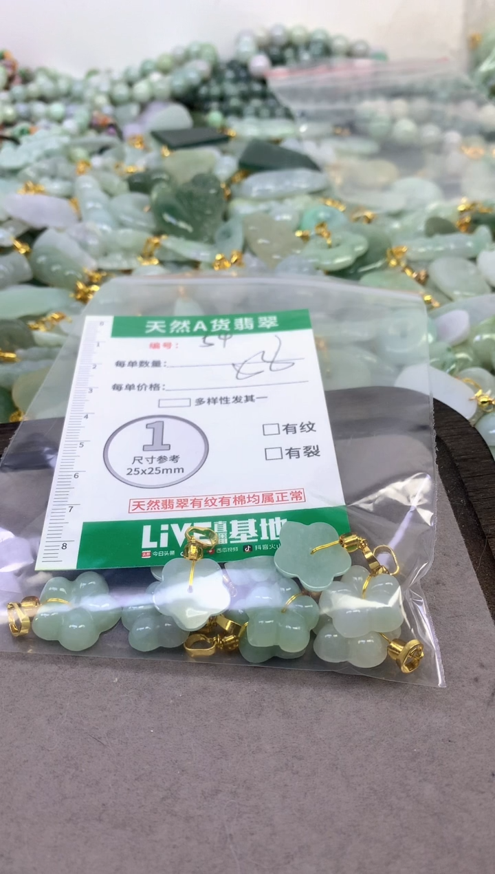 颈饰未镶嵌翡翠纯天然缅甸A货翡翠