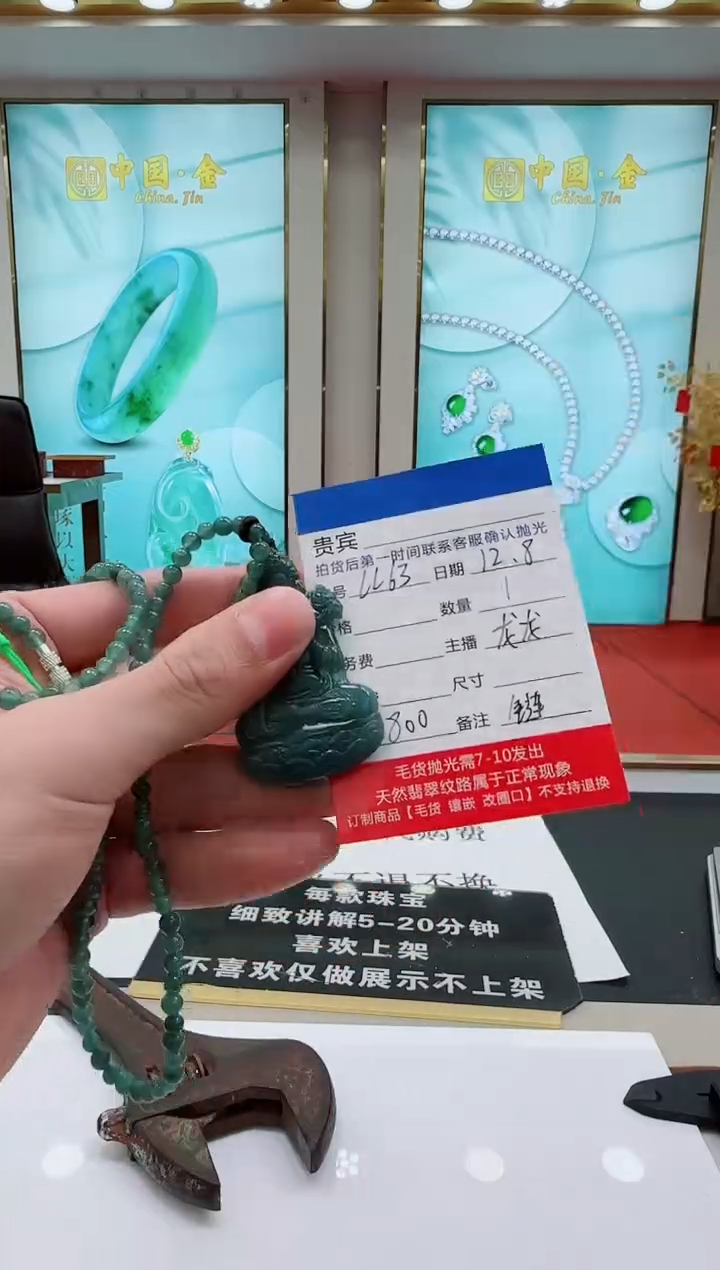 未镶嵌定制翡翠LL63翡翠吊坠赠珠链-多样性发其一