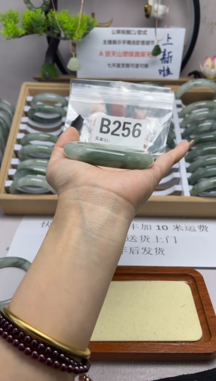 【闪购商品】石英质玉（天山翠）手镯未镶嵌b256