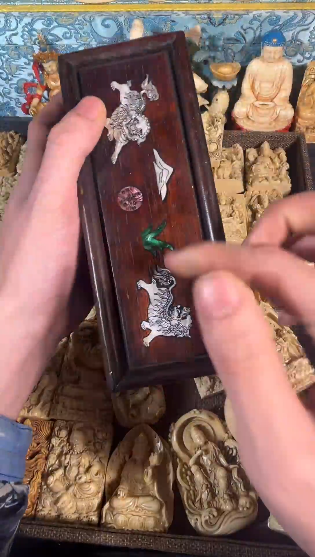 黄杨木1111111111111