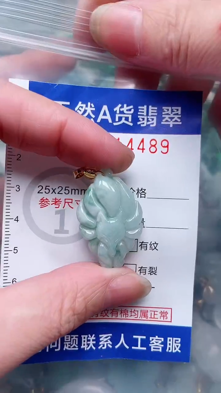 翡翠未镶嵌吊坠(赠链)1