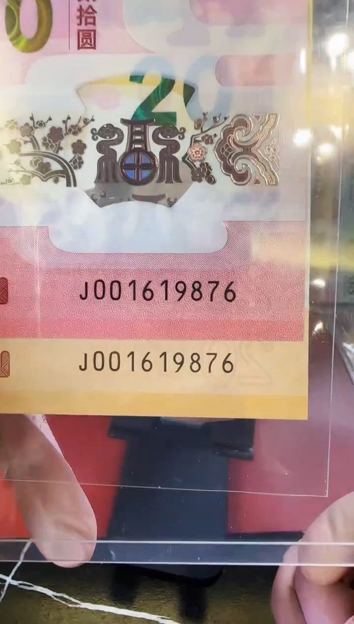 【闪购商品】塑料2025蛇钞全同号001619876裸
