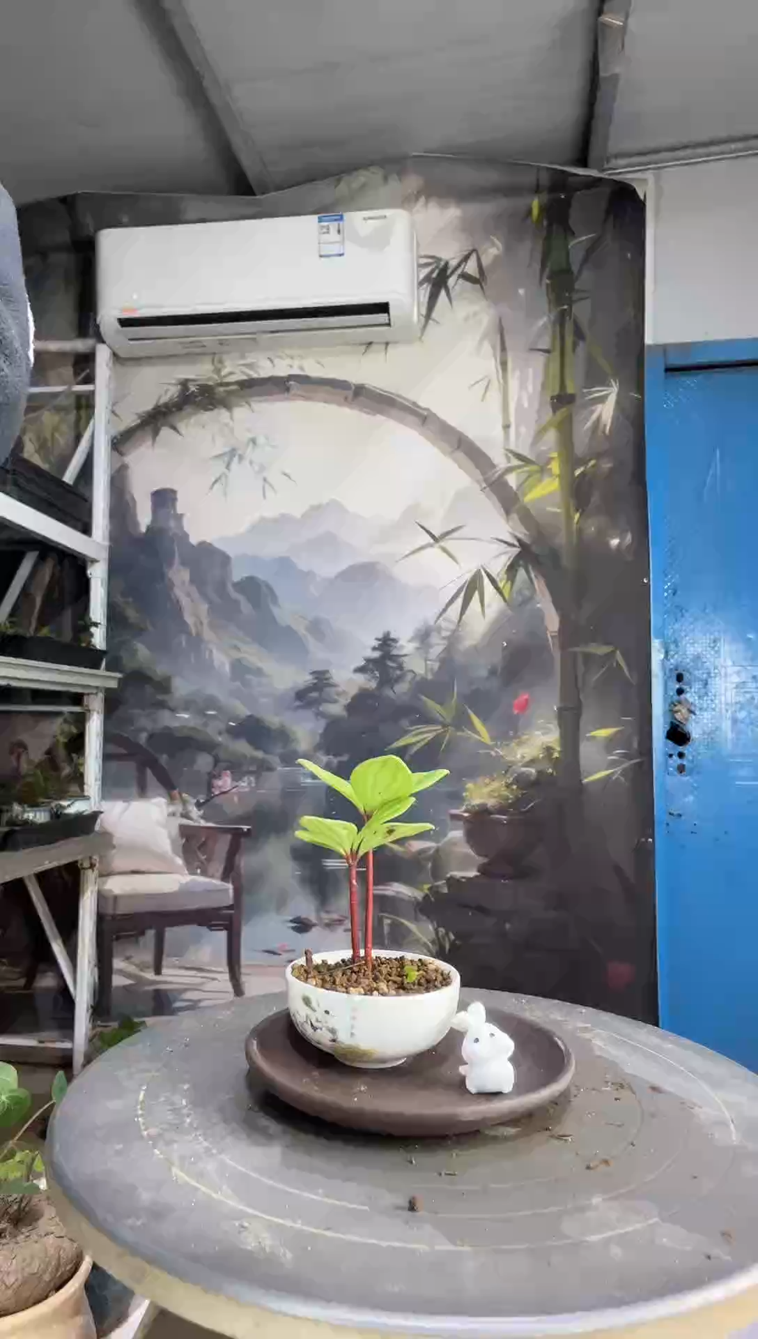 ￥中青园艺一物一拍47