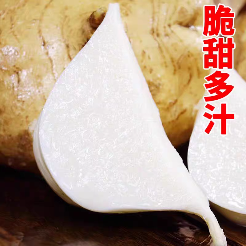 河南固始特产地瓜凉薯土地瓜凉瓜您买一单就是对留守儿童一份爱心