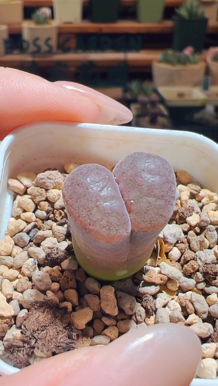 860..................