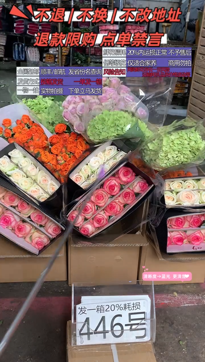 446号♥含20%耗损发一箱