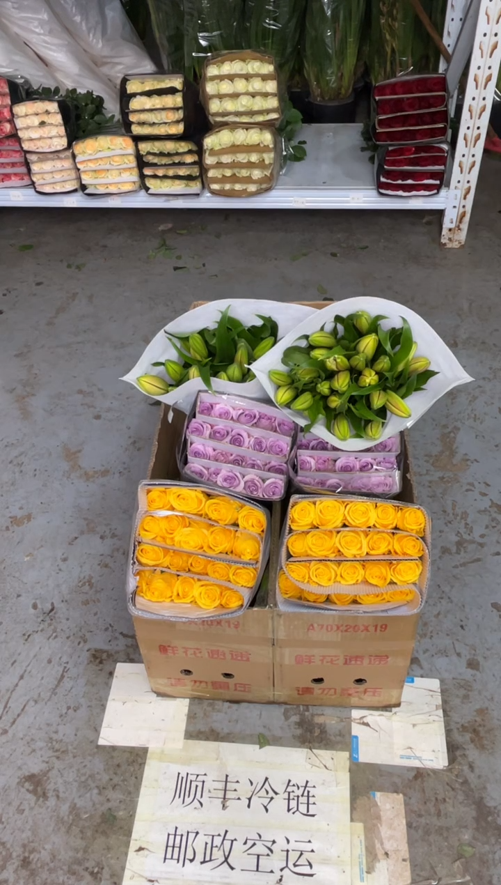 金枝20枝+海洋之歌20枝+双头亚百合10枝 