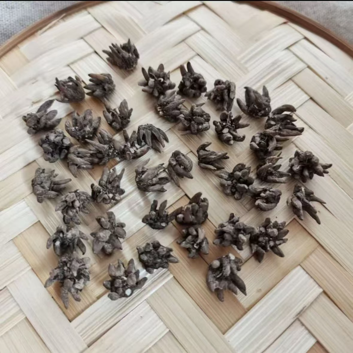 猫猫正宗原料新货干活煲汤泡水番薯