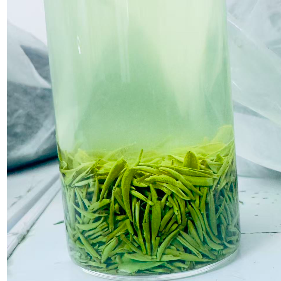 【四望山】2025信阳绿茶毛尖雨前小芽鲜嫩春茶