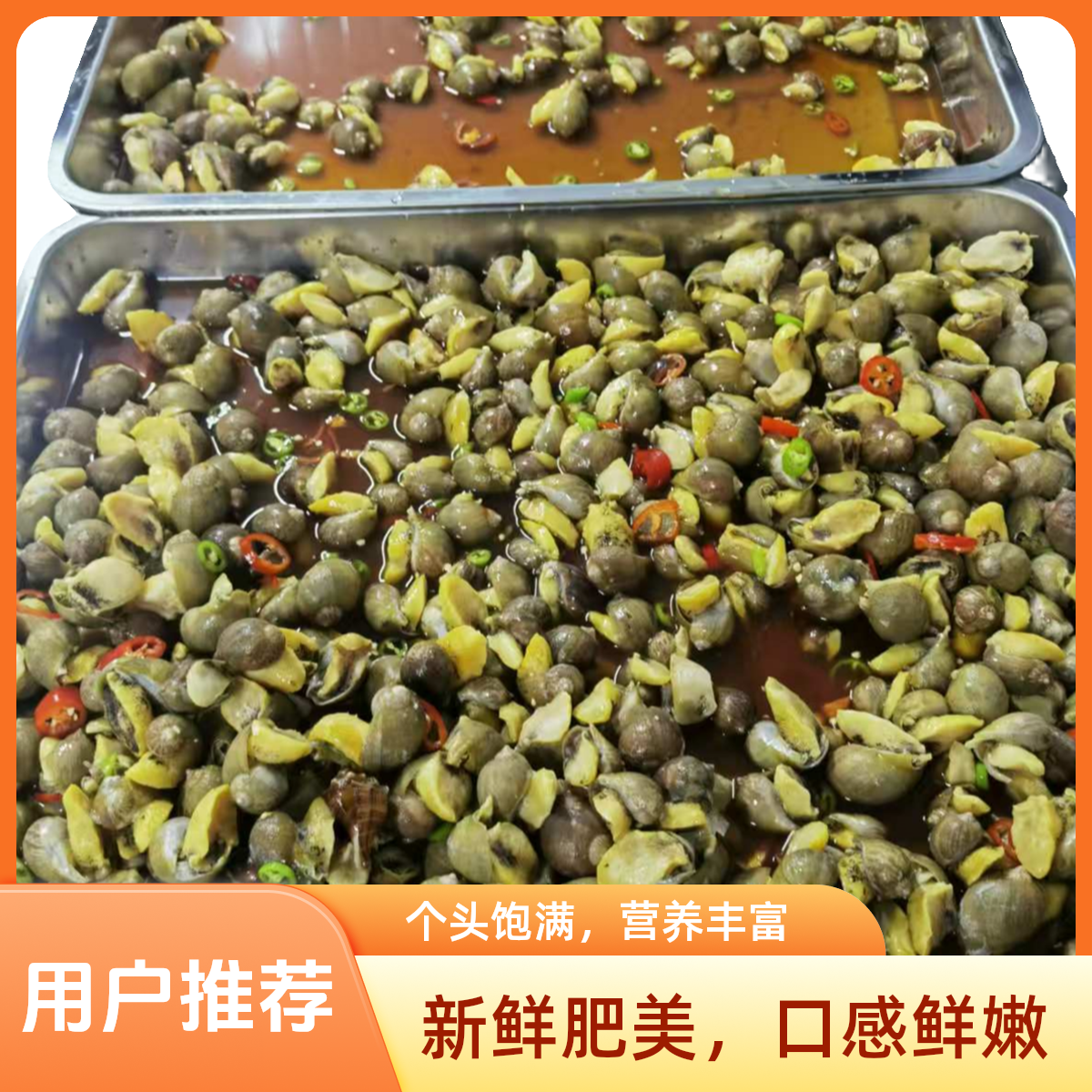 1【现做现发】大连麻辣捞汁鲍螺假鲍鱼老婆脚500克*2桶固形物大于70%