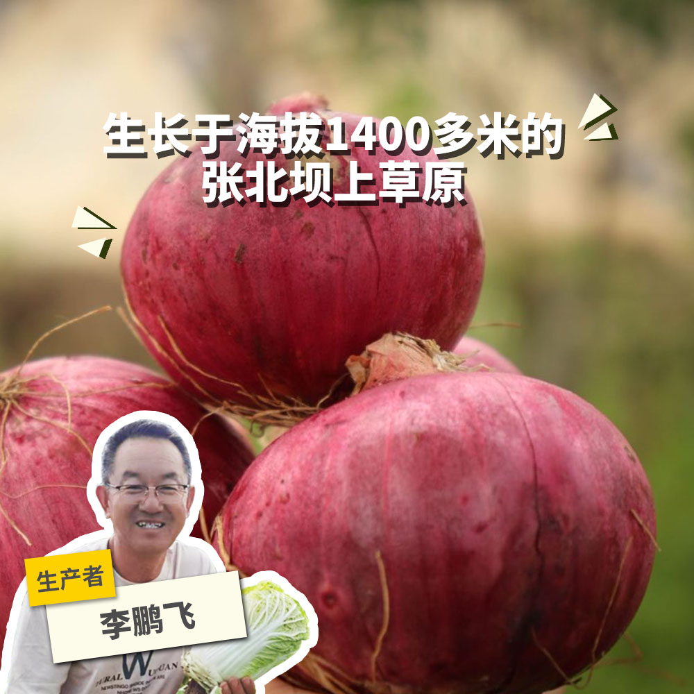 生态河北洋葱 2.5kg 绿手指份额农园