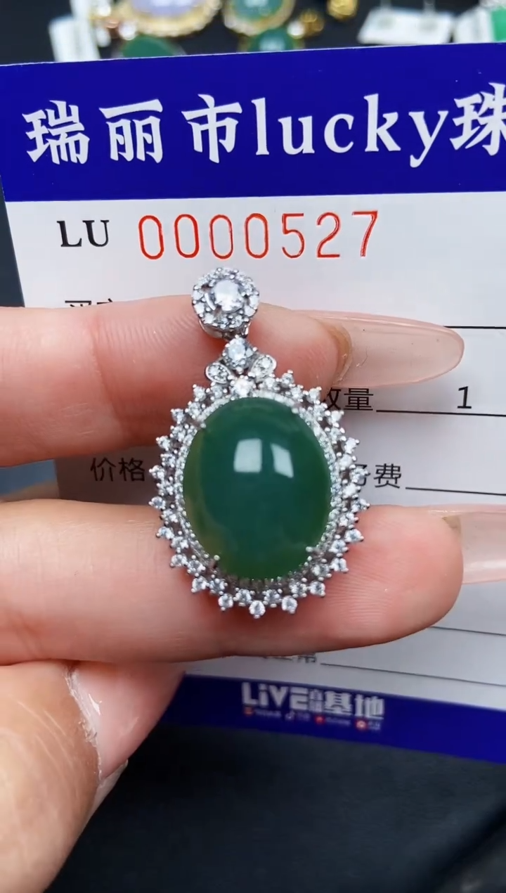 【闪购商品】翡翠颈饰银S925镶嵌0527