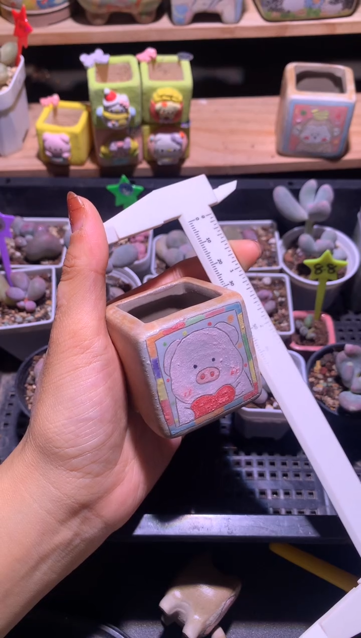 小猪花盆哈哈哈哈