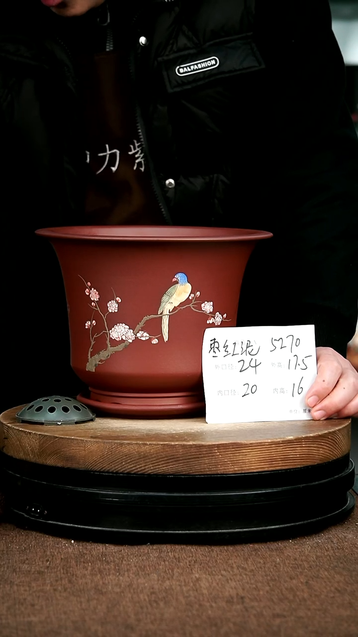 紫砂花盆花卉园艺5270+Z