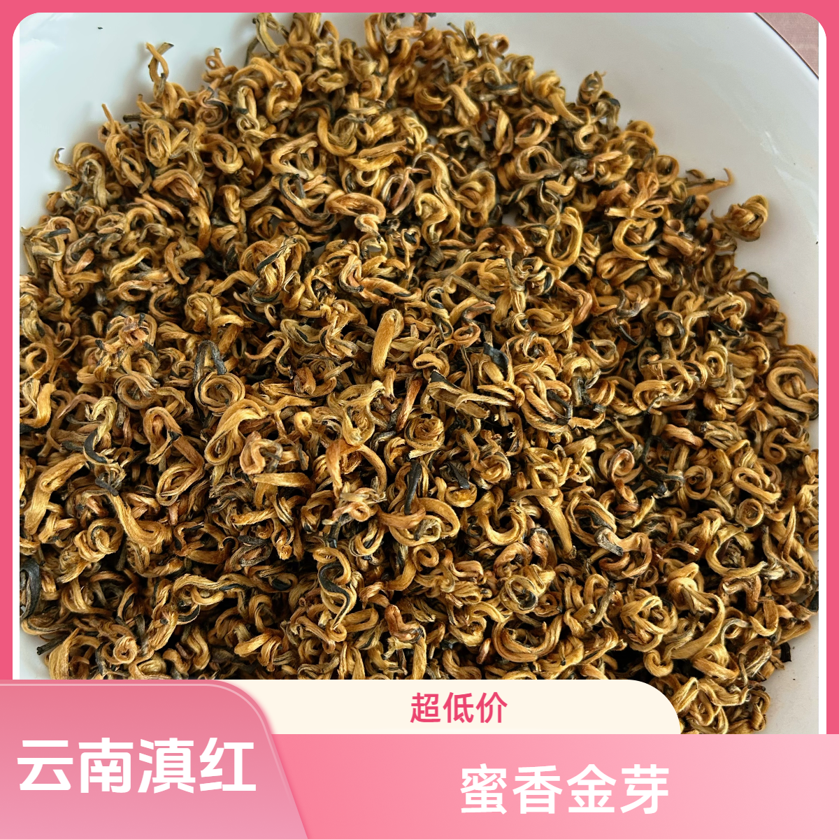 云南凤庆古树头春头采滇红茶