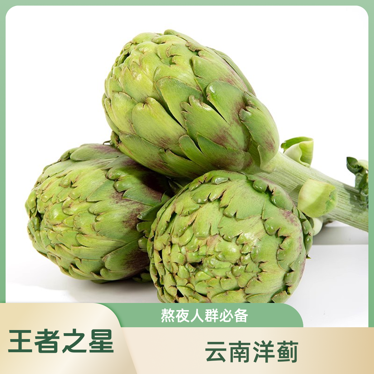 【王者之星】云南洋蓟朝鲜蓟农家当季蔬菜可食用法国百合食用蔬菜