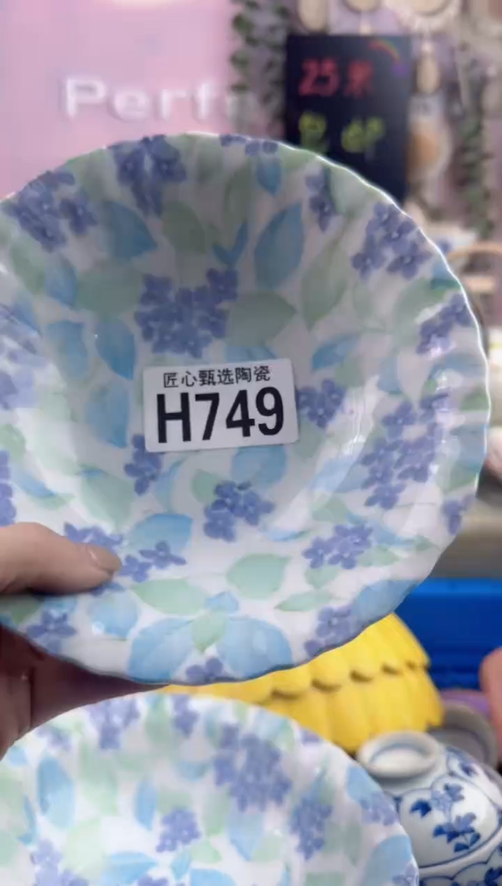 瓷片柳****6        H749