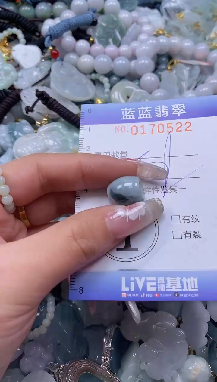 【闪购商品】翡翠颈饰未镶嵌闪购0170522