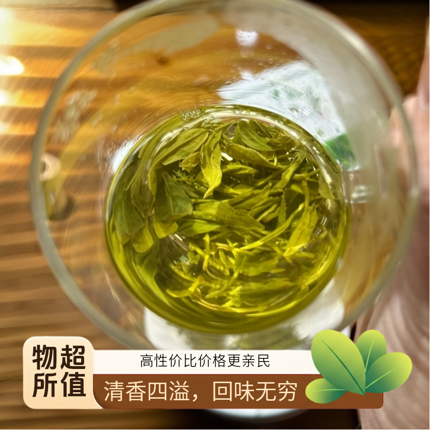 紫阳茶，条索紧实，色泽翠绿，嫩香持久，鲜爽回甘，汤色明亮。