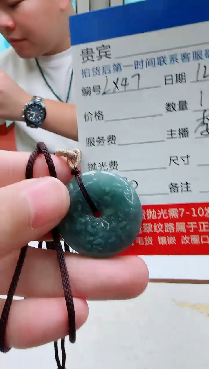 颈饰未镶嵌翡翠LX47翡翠吊坠-多样性发其一