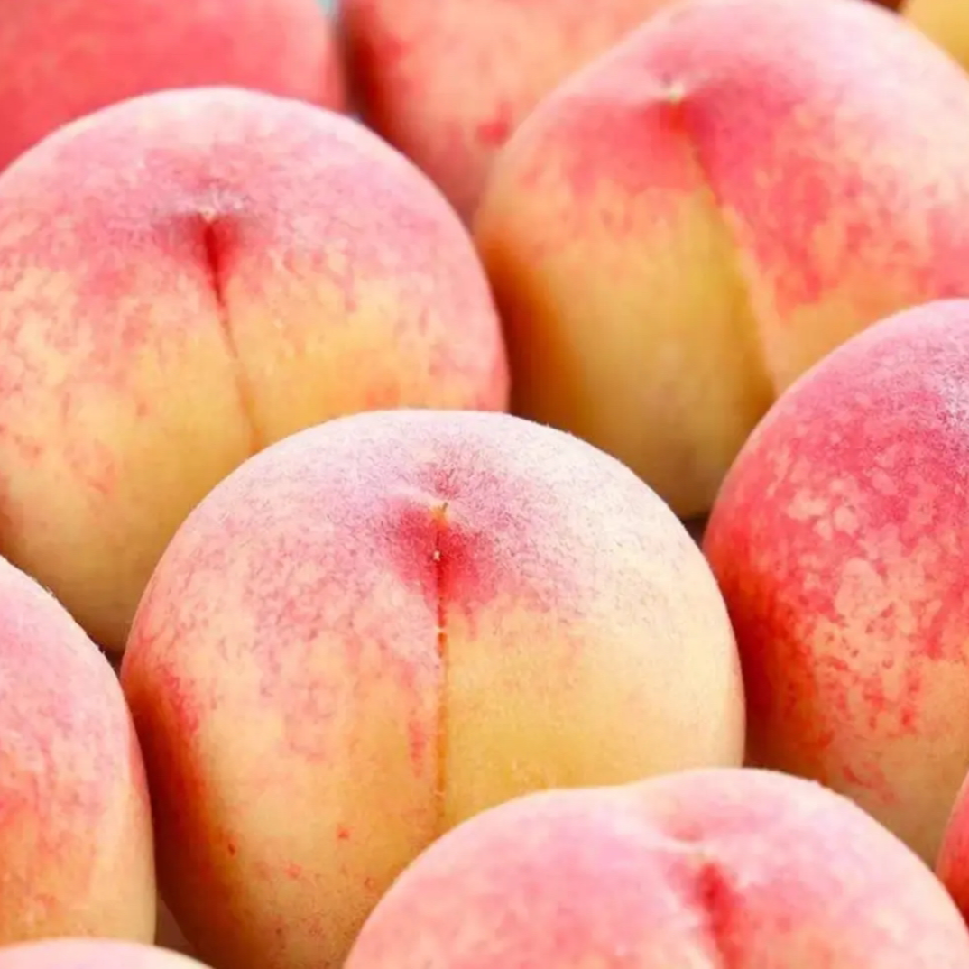 包邮新鲜现摘当季水蜜桃毛桃香甜爆汁皮薄肉厚