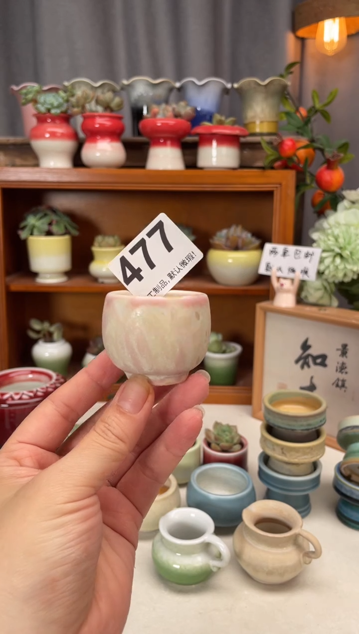瓷片477小方直播编号