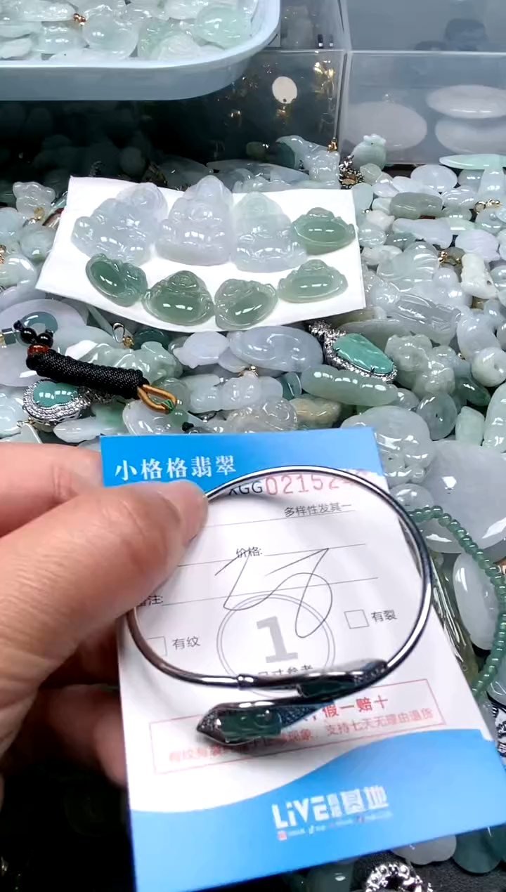 【闪购商品】翡翠颈饰未镶嵌闪购商品0215246