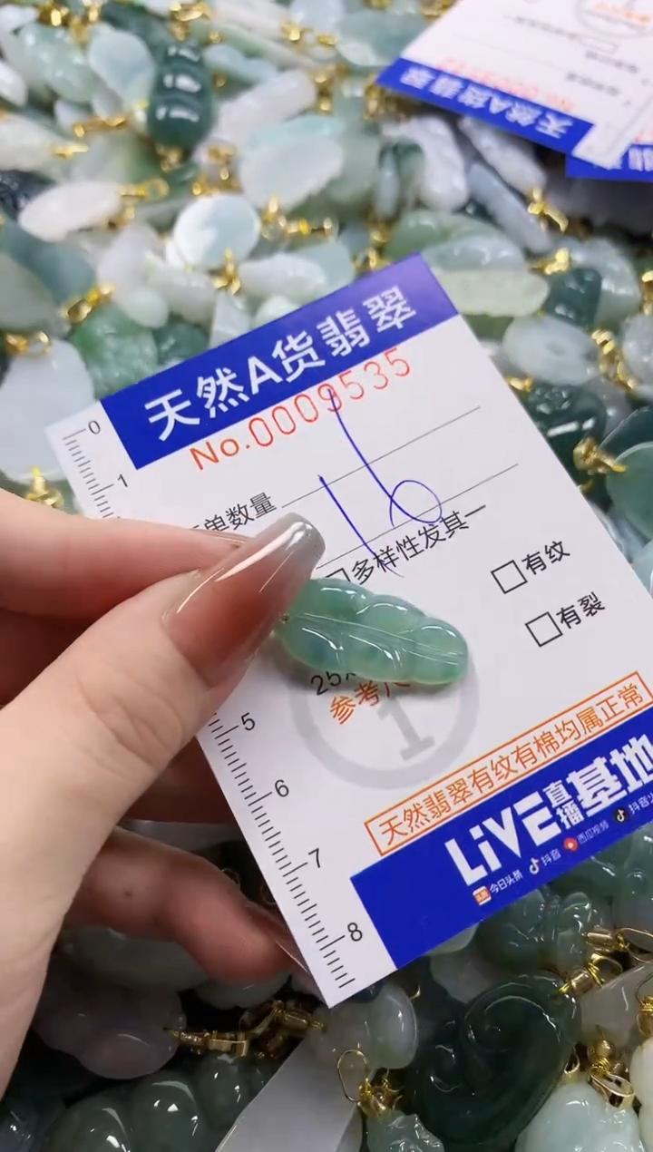 颈饰未镶嵌翡翠天然A货翡翠