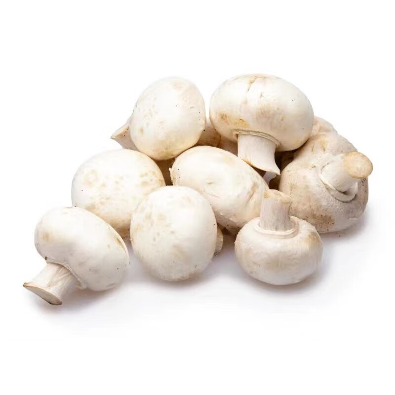 白蘑菇 250g