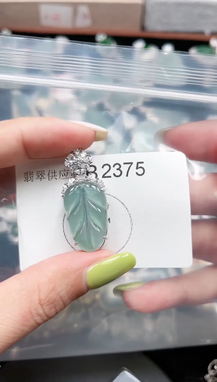 【闪购商品】翡翠颈饰未镶嵌赠皮绳2375