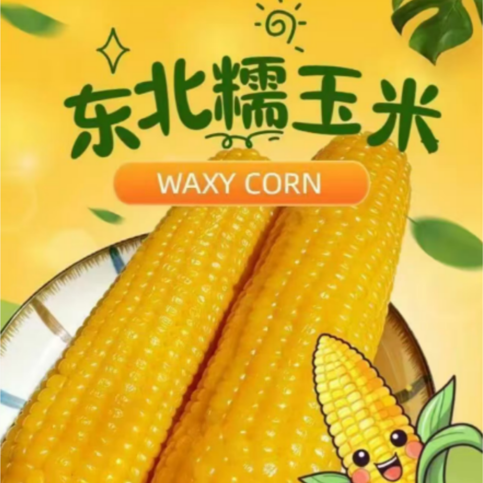 H【到手15支 试吃6根 】东北正宗黄糯玉米真空包装软糯香甜